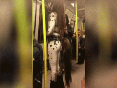 Horses in the subway